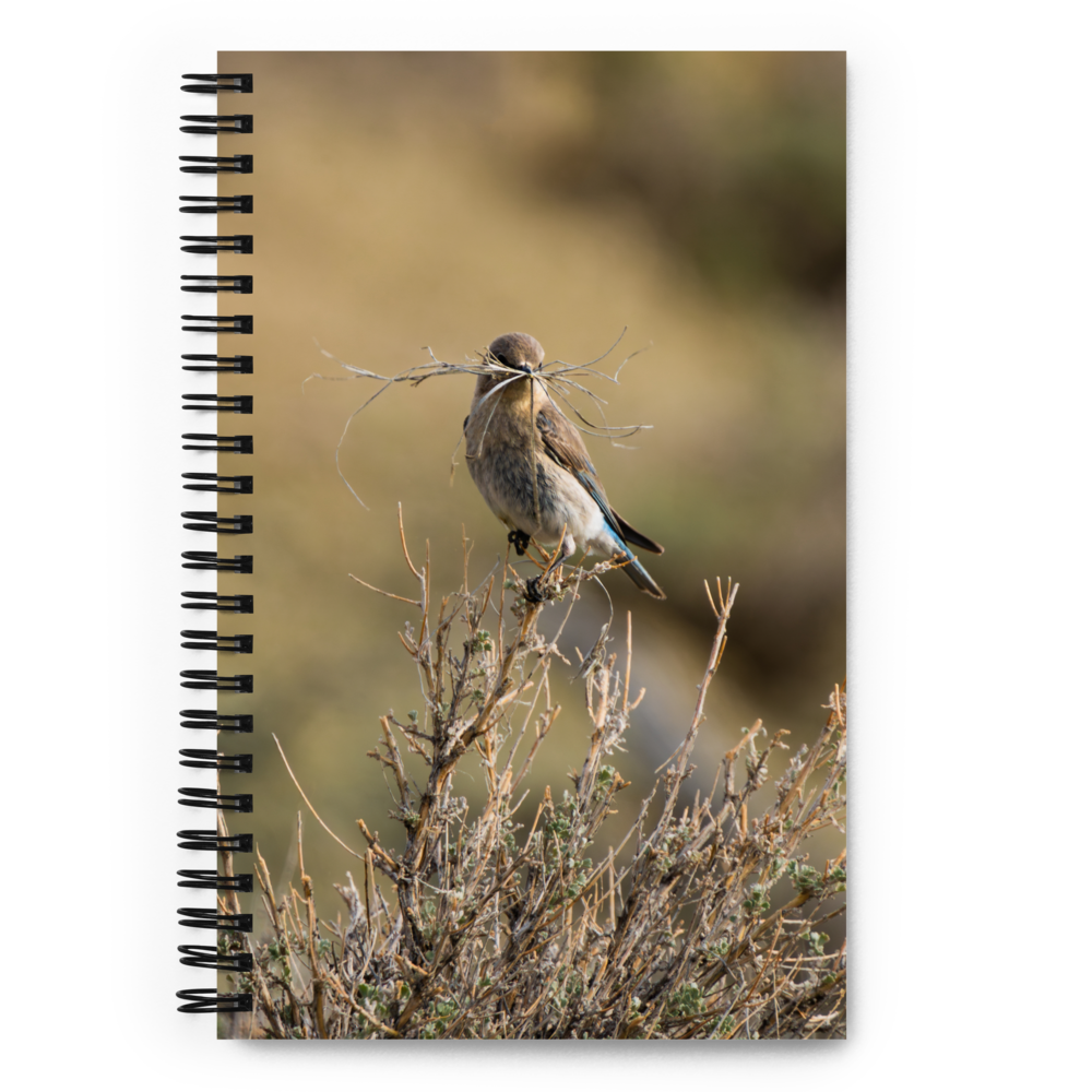 Female Mountain Bluebird Spiral notebook