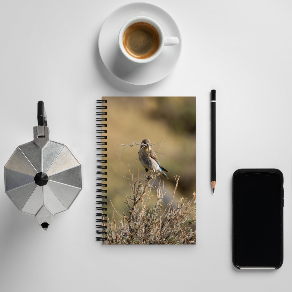 Female Mountain Bluebird Spiral notebook