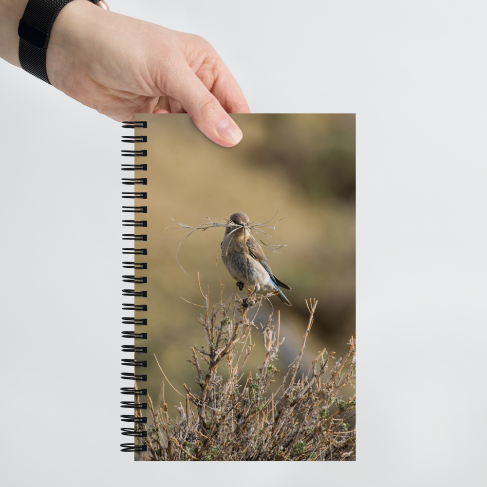 Female Mountain Bluebird Spiral notebook