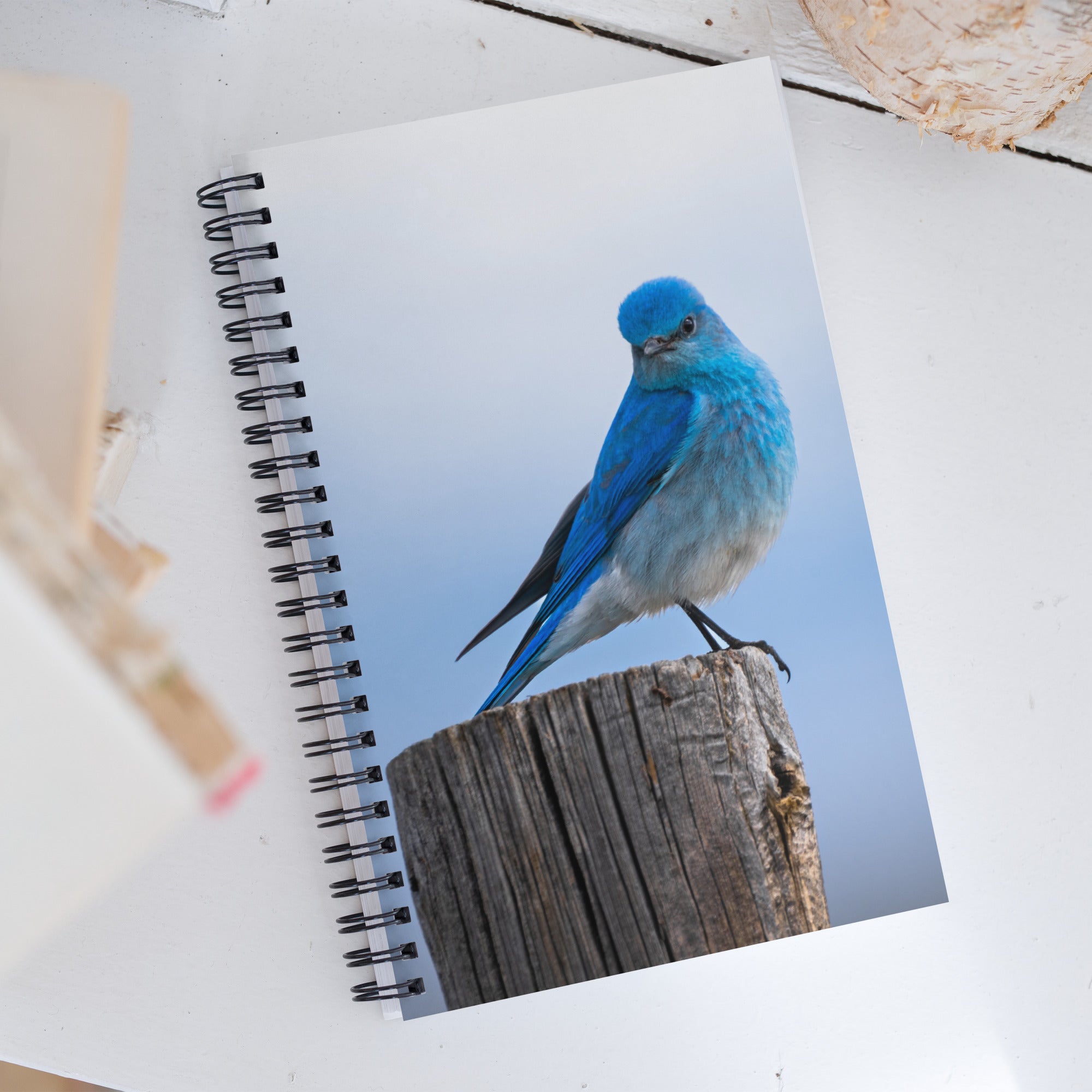 Mountain Bluebird Spiral notebook