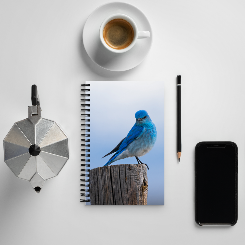 Mountain Bluebird Spiral notebook