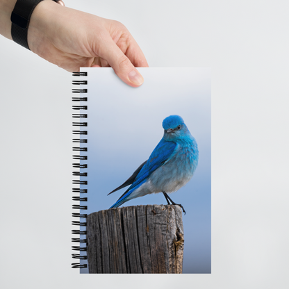 Mountain Bluebird Spiral notebook