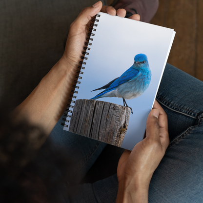 Mountain Bluebird Spiral notebook