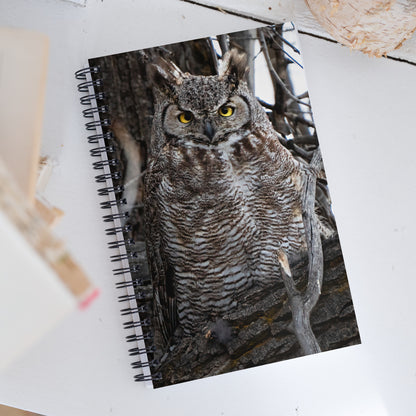 Owl Spiral notebook