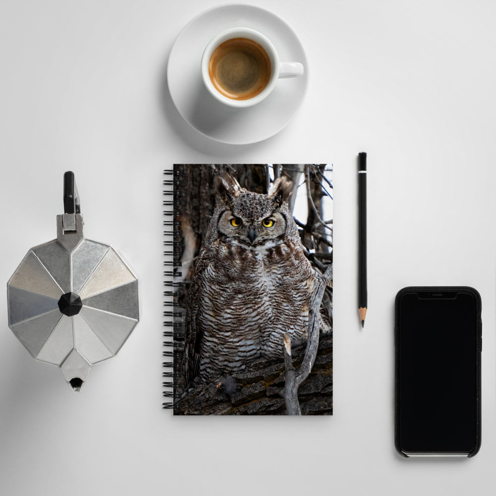 Owl Spiral notebook