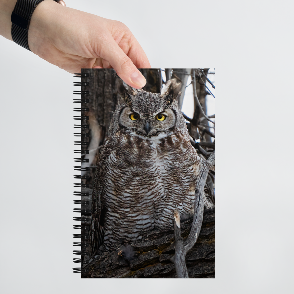 Owl Spiral notebook