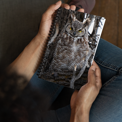 Owl Spiral notebook