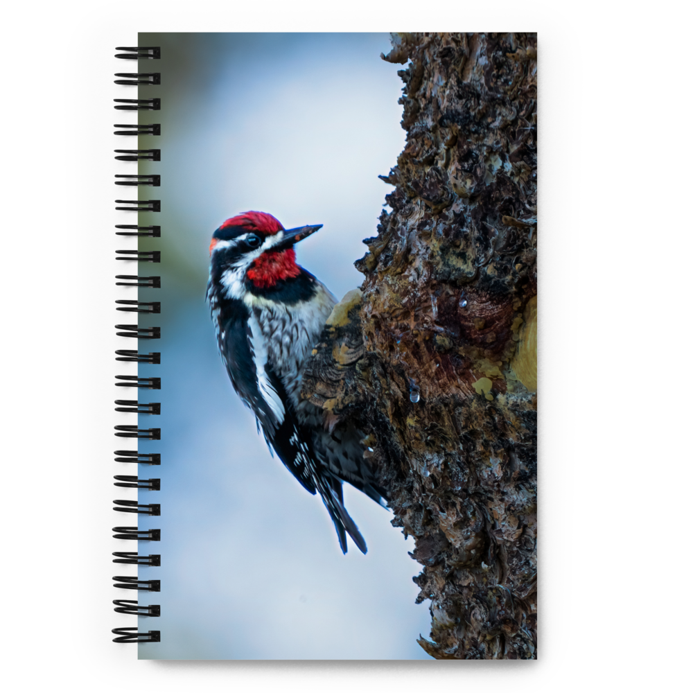Woodpecker Spiral notebook
