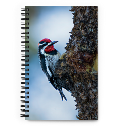 Woodpecker Spiral notebook