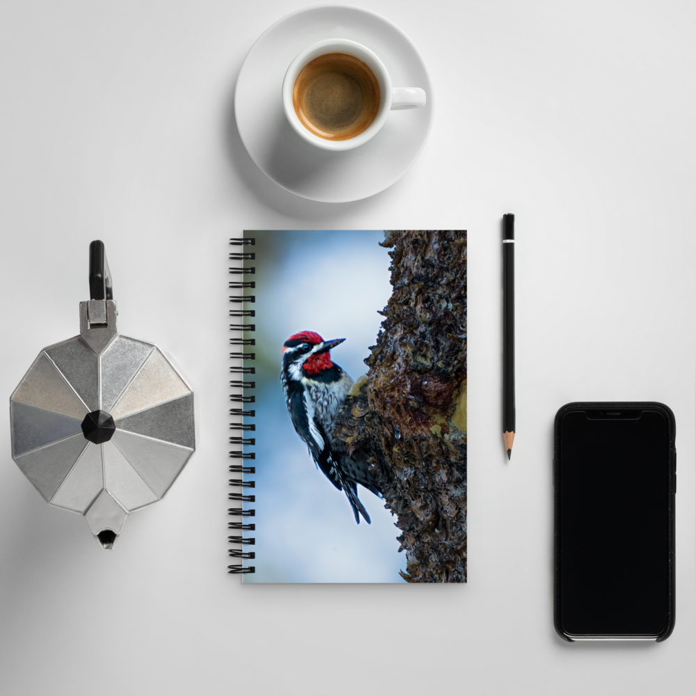Woodpecker Spiral notebook