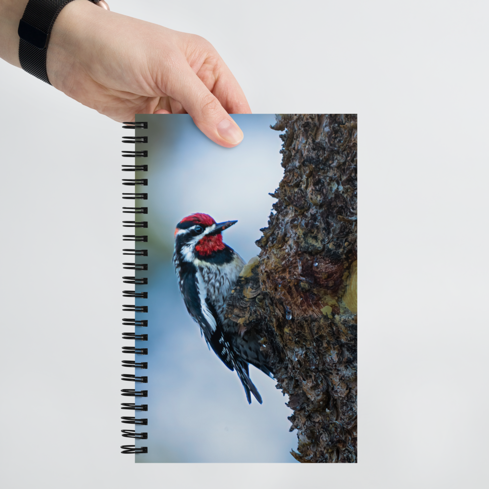 Woodpecker Spiral notebook