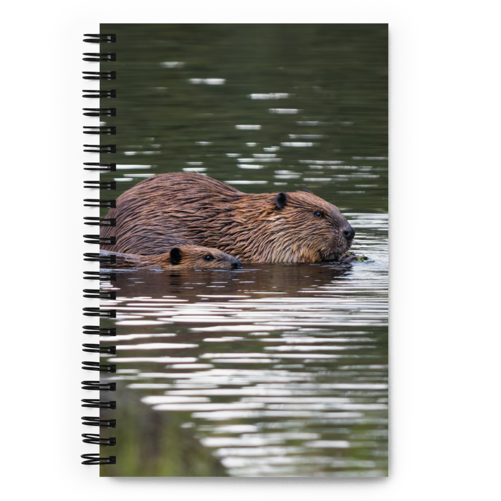 Beaver Spiral notebook