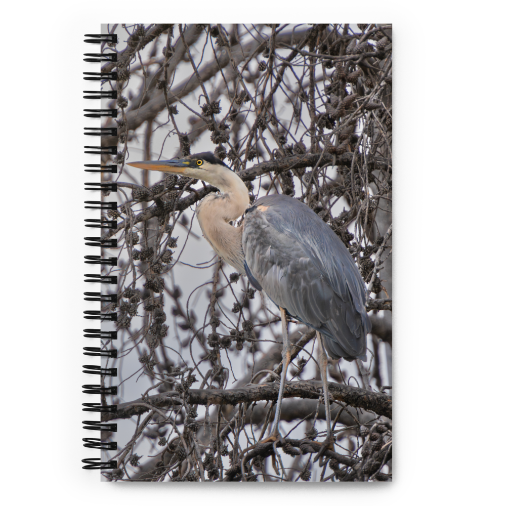 Blue Heron Spiral notebook