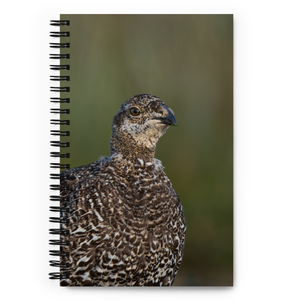 Sage Grouse Spiral notebook