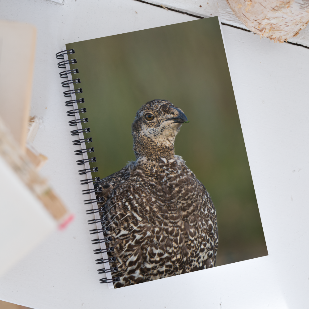 Sage Grouse Spiral notebook