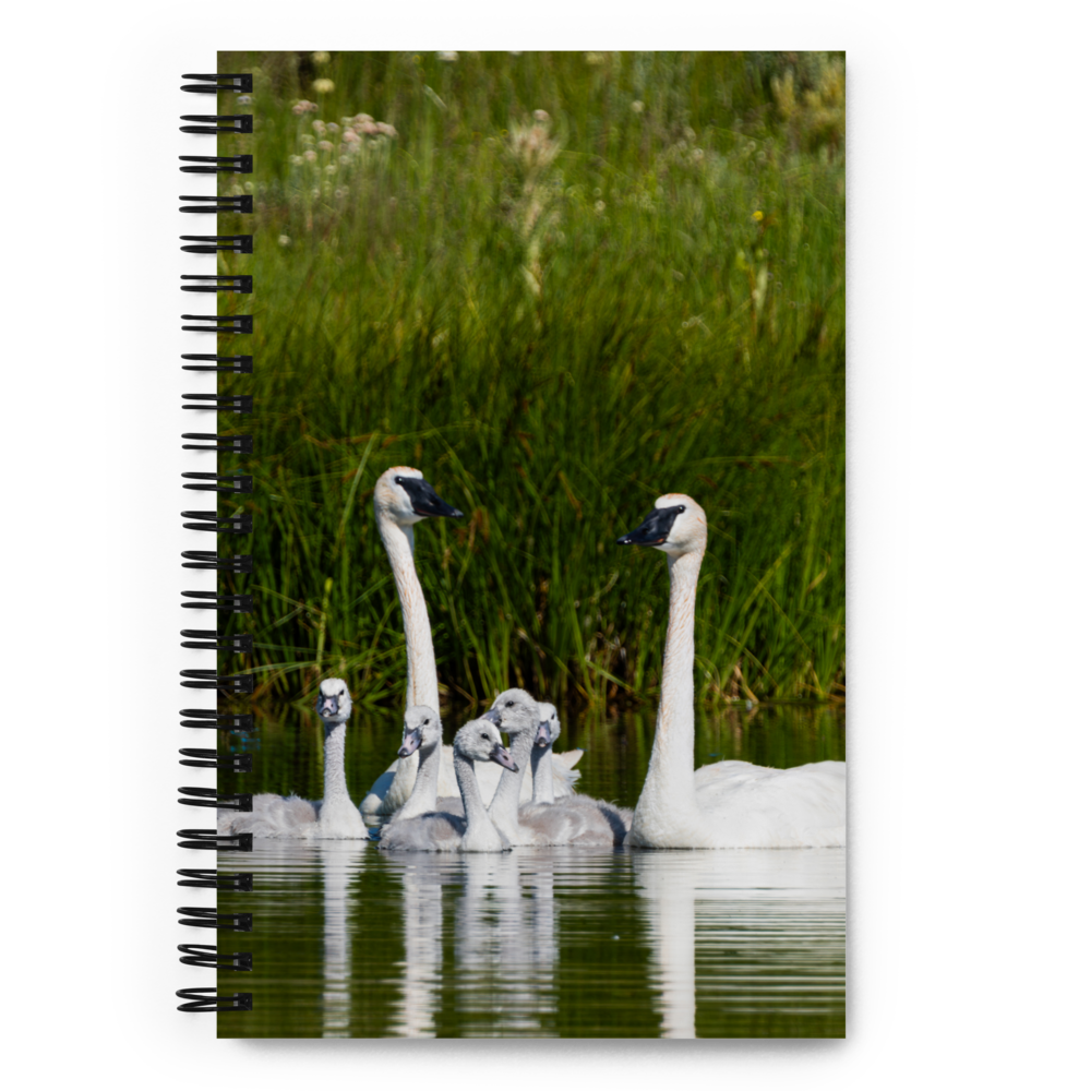 Swan Family Spiral notebook