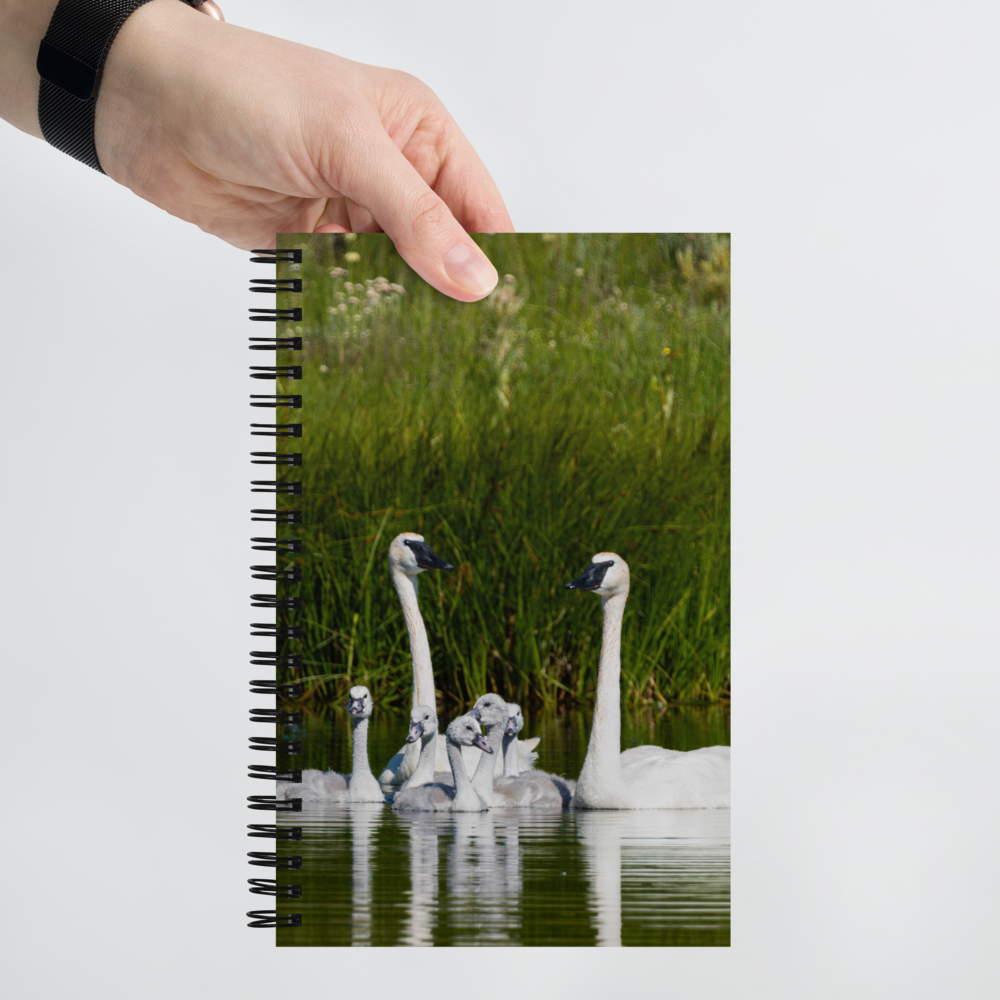 Swan Family Spiral notebook