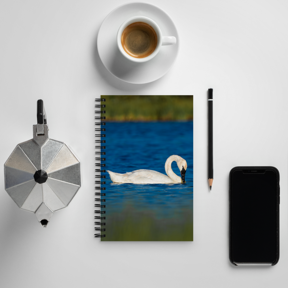 Swan Spiral notebook