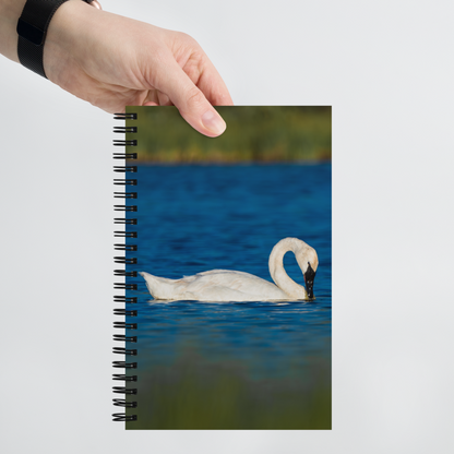 Swan Spiral notebook