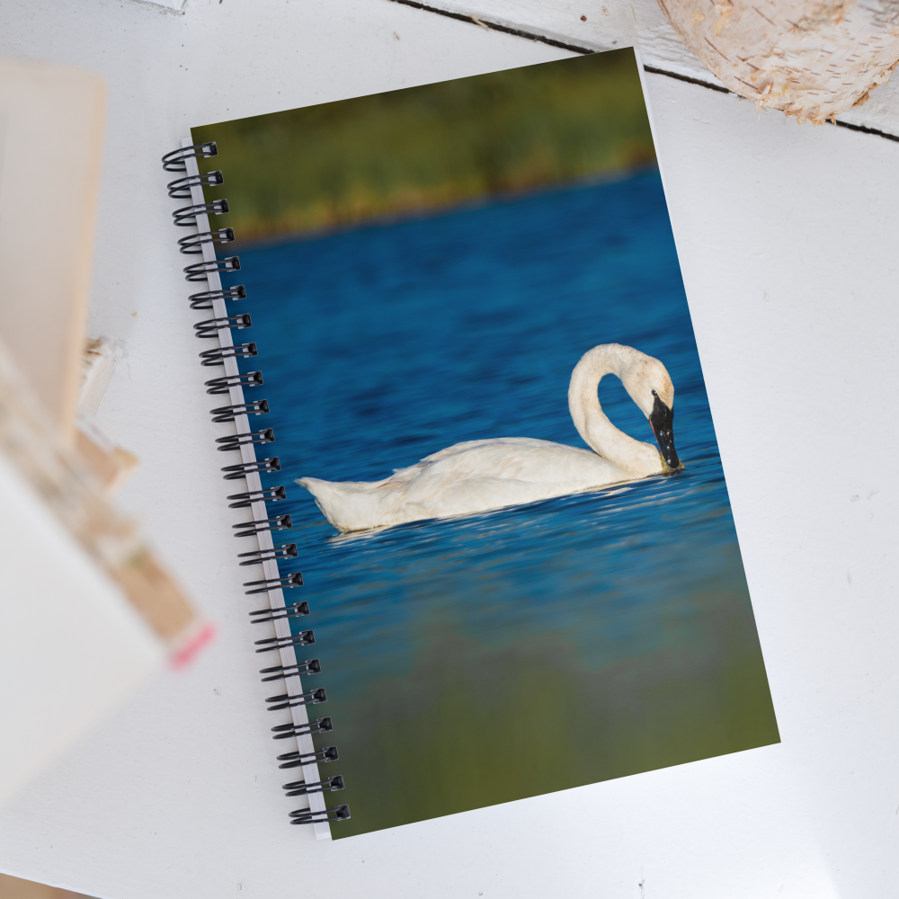 Swan Spiral notebook