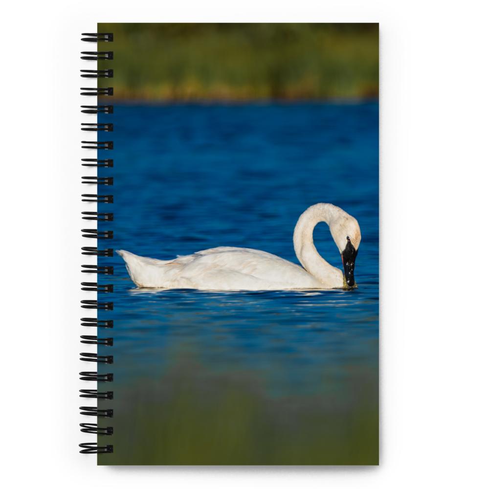 Swan Spiral notebook
