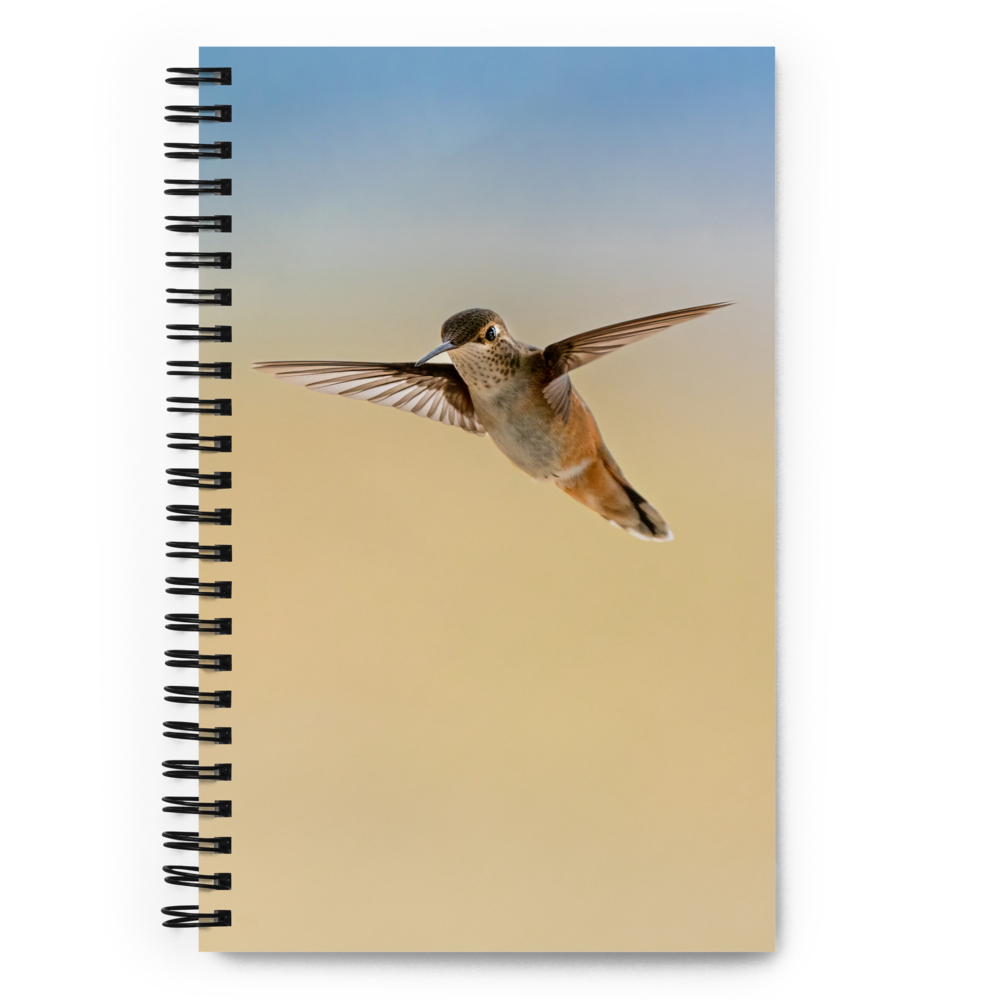 Hummingbird Spiral notebook
