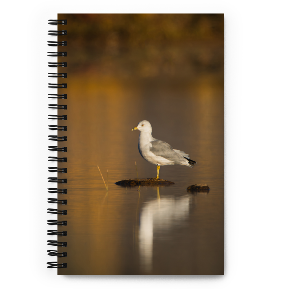 Ring-Billed Gull Spiral Notebook