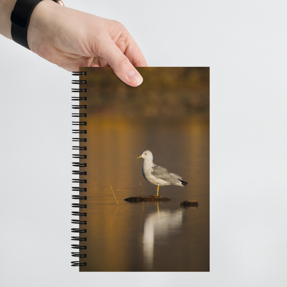 Ring-Billed Gull Spiral Notebook