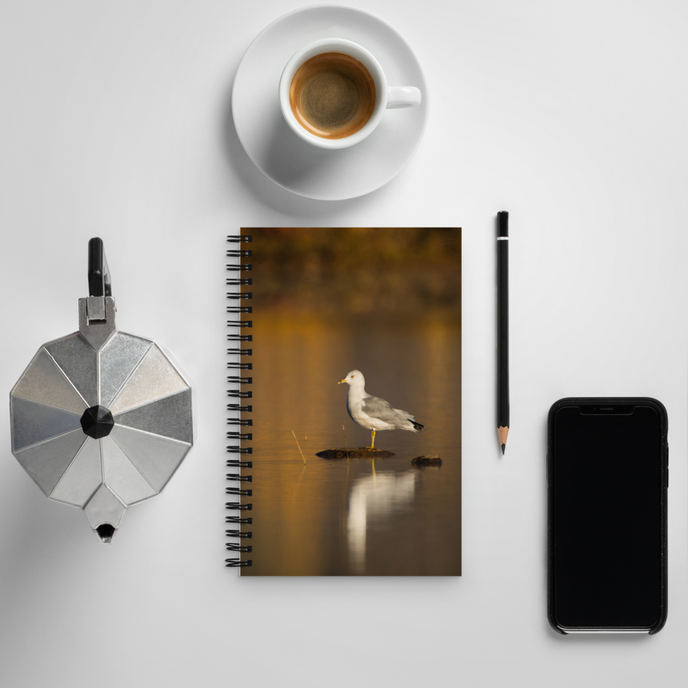 Ring-Billed Gull Spiral Notebook