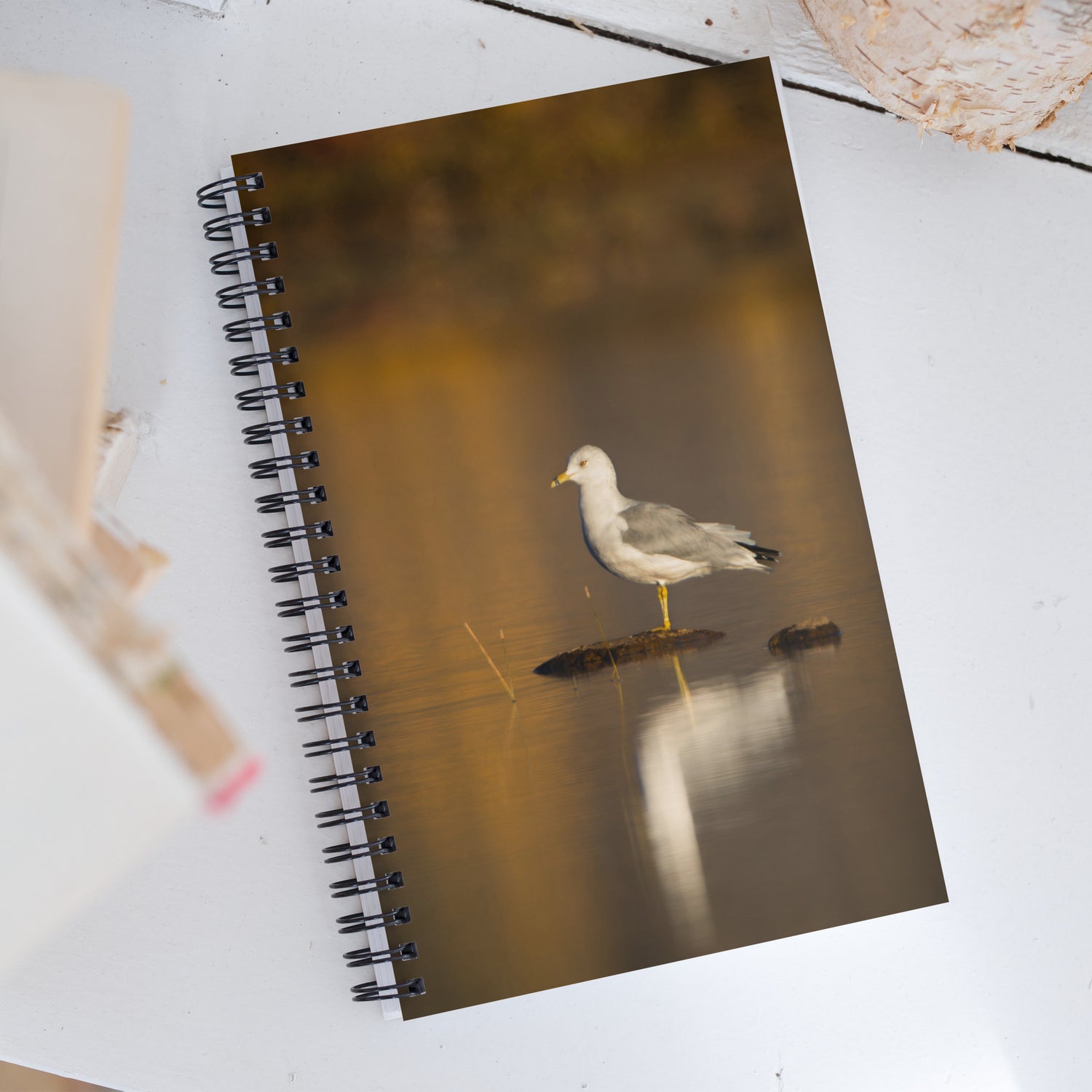 Ring-Billed Gull Spiral Notebook