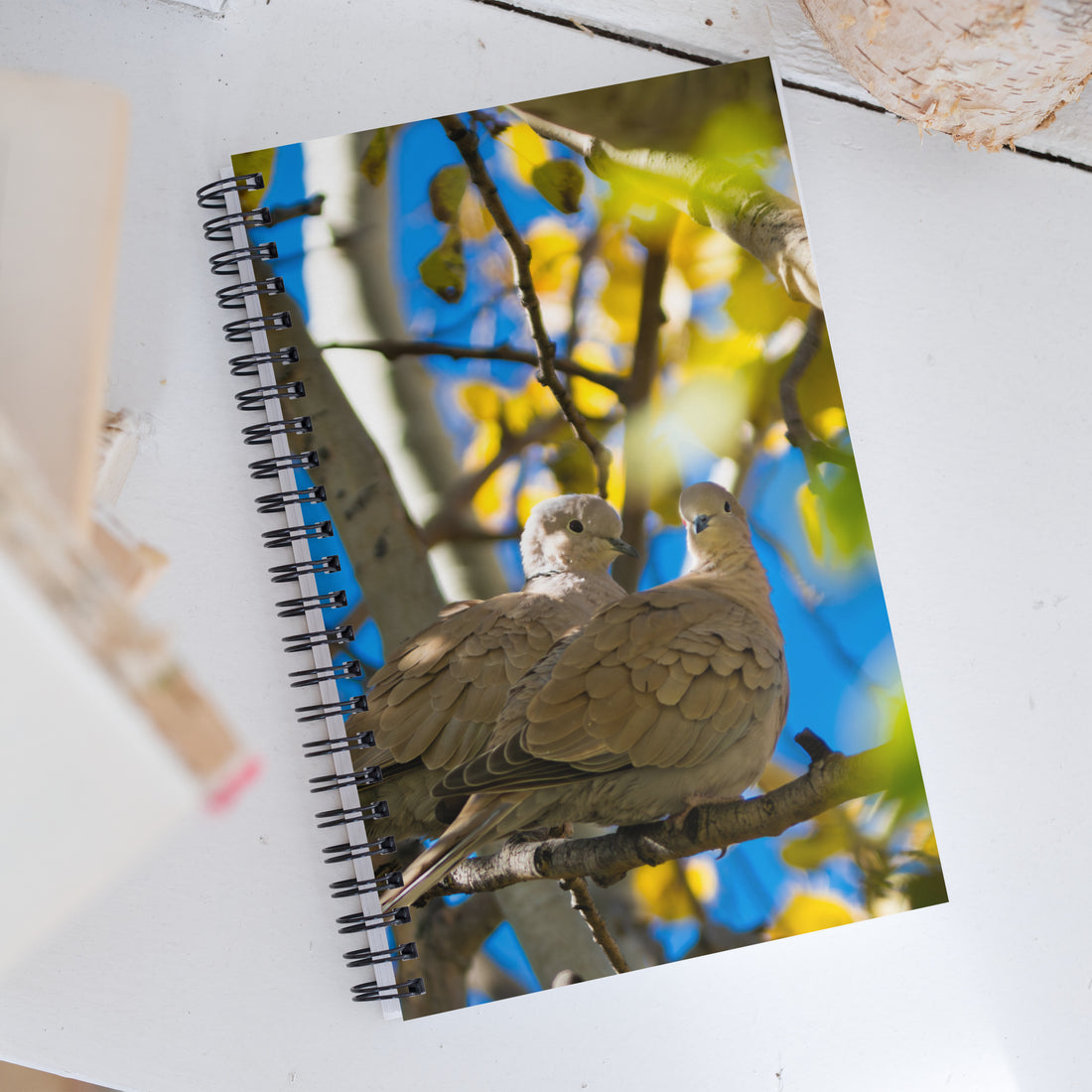 Eurasian Doves in the Fall Spiral Notebook