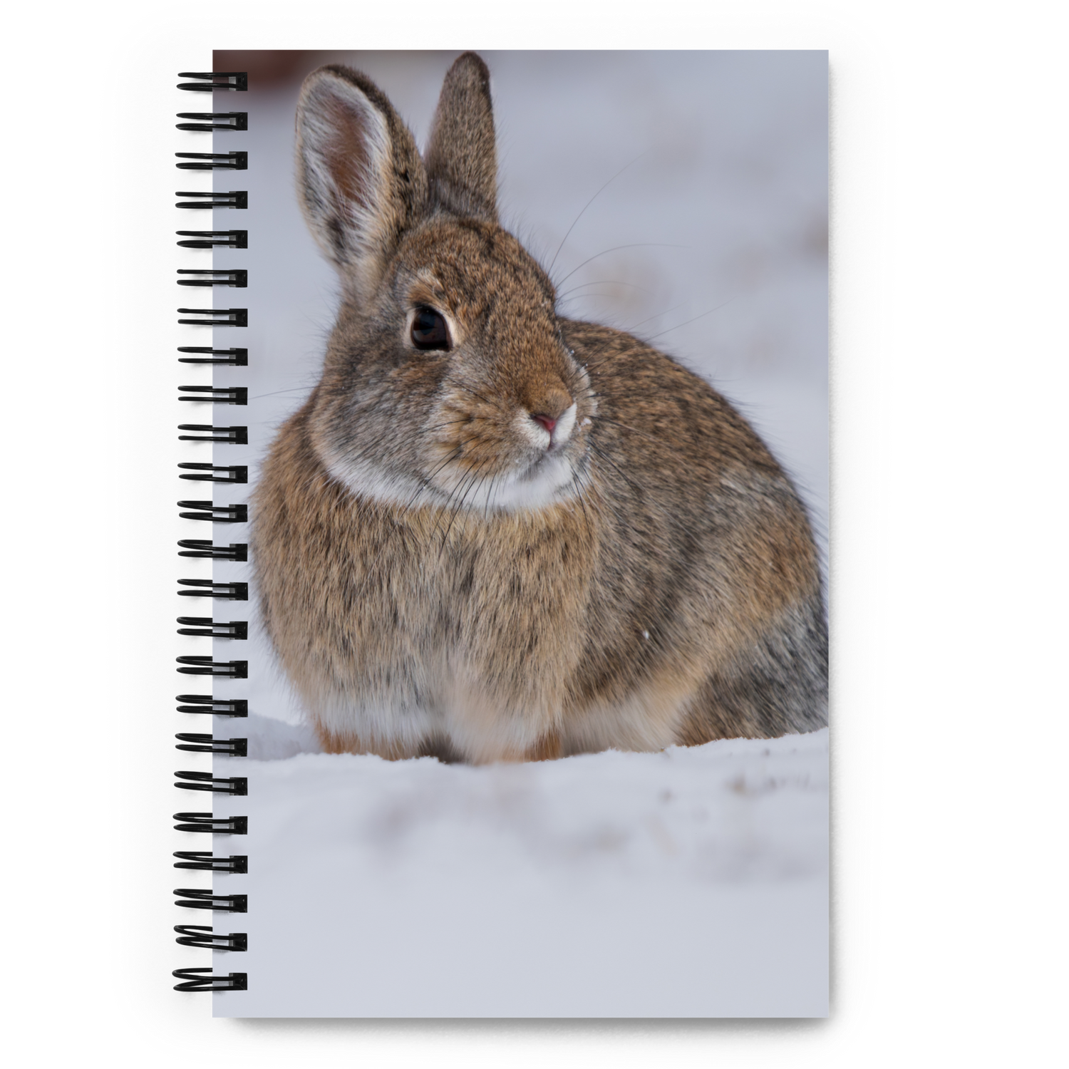 Bunny Trails Notebook: Capture Wyoming’s Wild Beauty One Page at a Time!