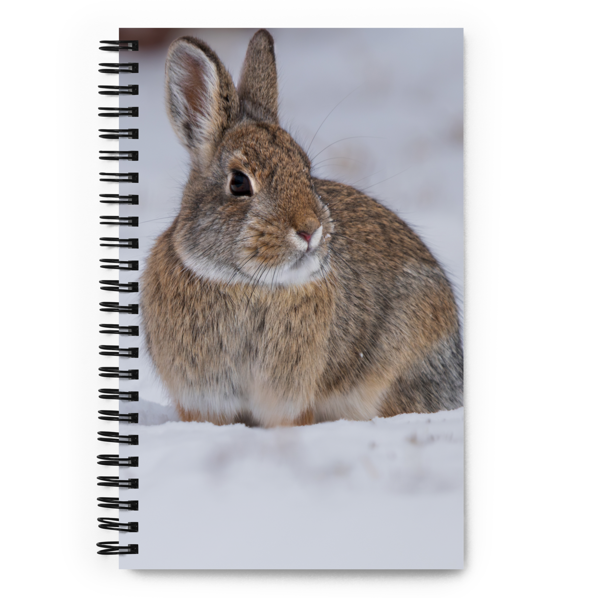 Bunny Trails Notebook: Capture Wyoming’s Wild Beauty One Page at a Time!