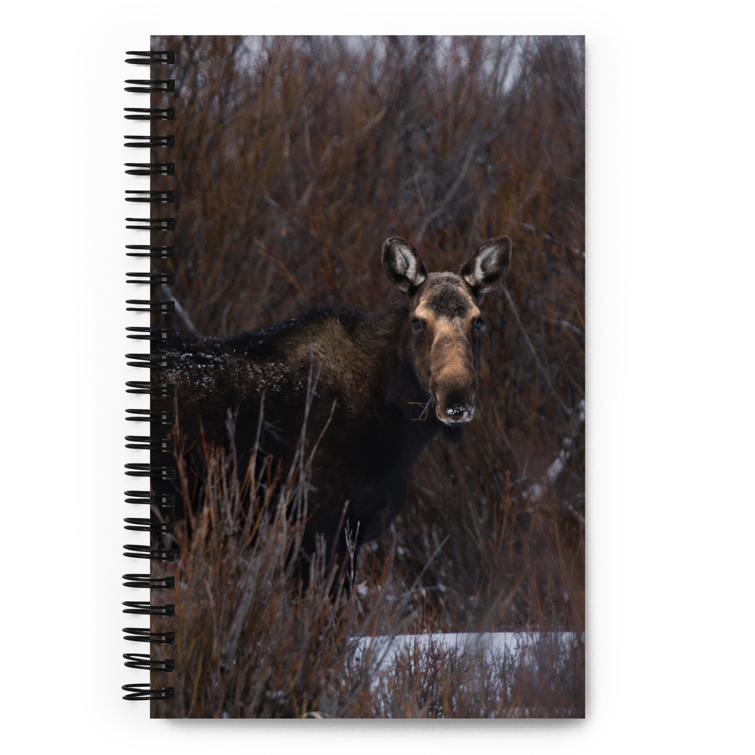 Moose Trails Notebook: Your Adventure Starts Before Sunrise!