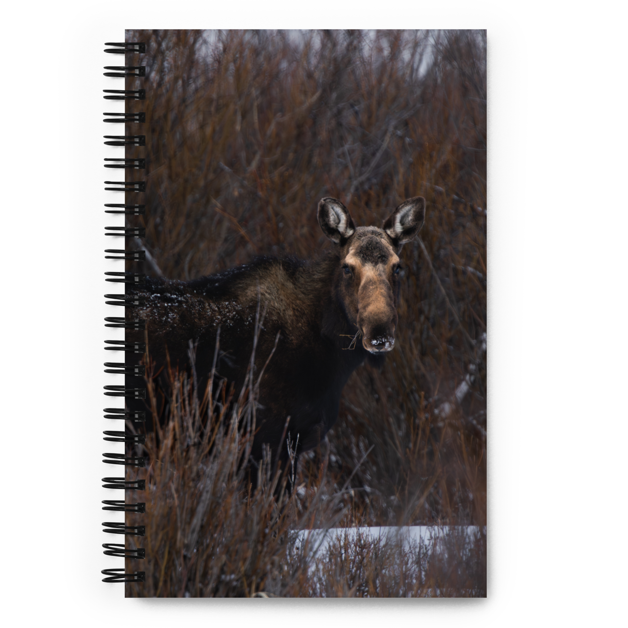 Moose Trails Notebook: Your Adventure Starts Before Sunrise!