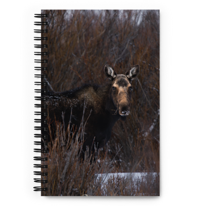 Moose Trails Notebook: Your Adventure Starts Before Sunrise!