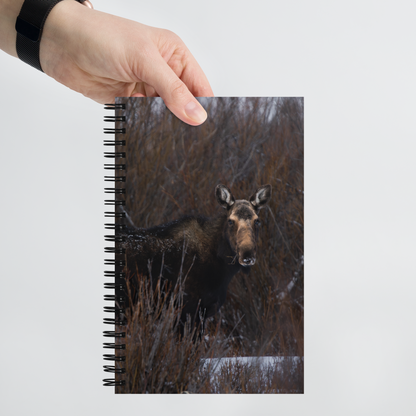 Moose Trails Notebook: Your Adventure Starts Before Sunrise!