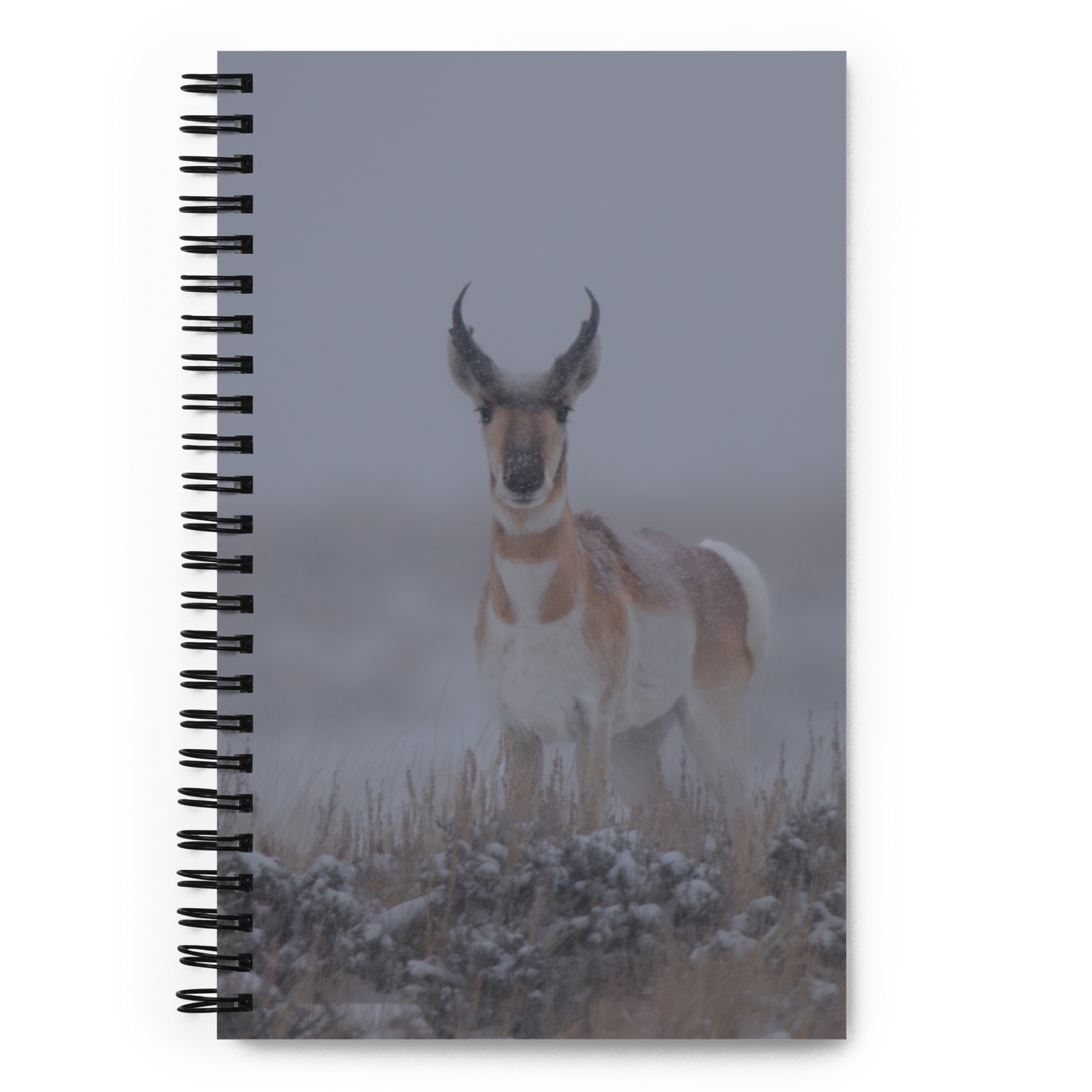 Pronghorn Notebook: Capture the Spirit of the Wyoming Wild!