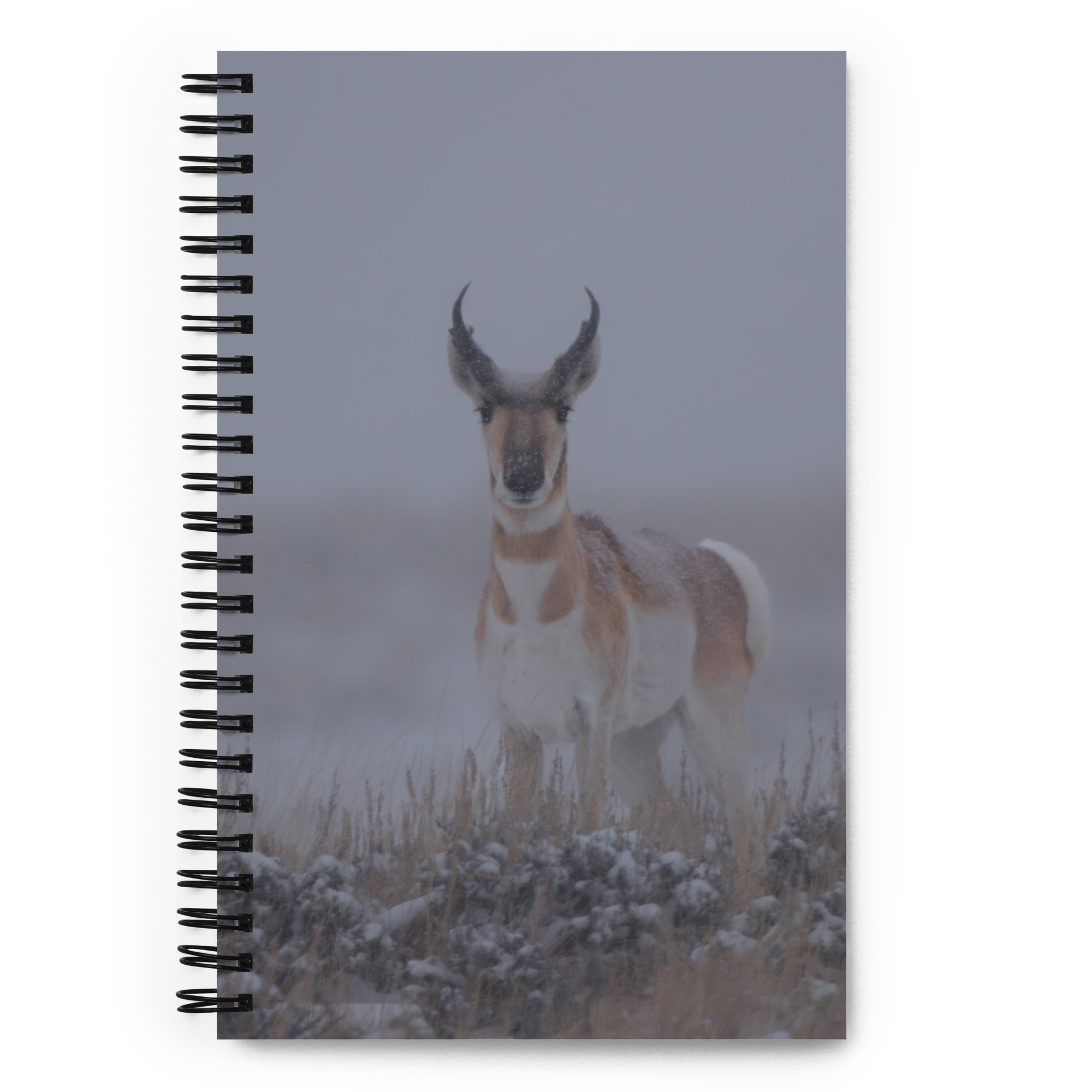 Pronghorn Notebook: Capture the Spirit of the Wyoming Wild!