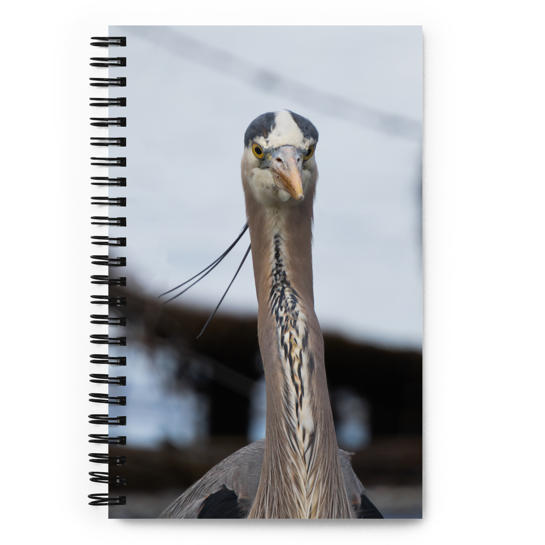 Blue Heron Spiral notebook