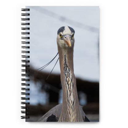 Blue Heron Spiral notebook