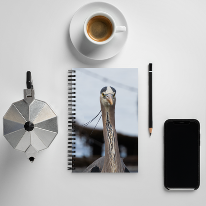 Blue Heron Spiral notebook