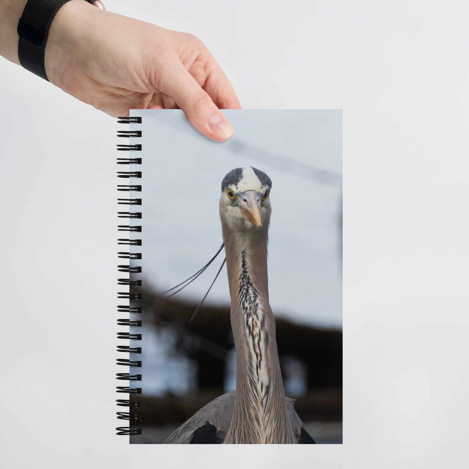 Blue Heron Spiral notebook