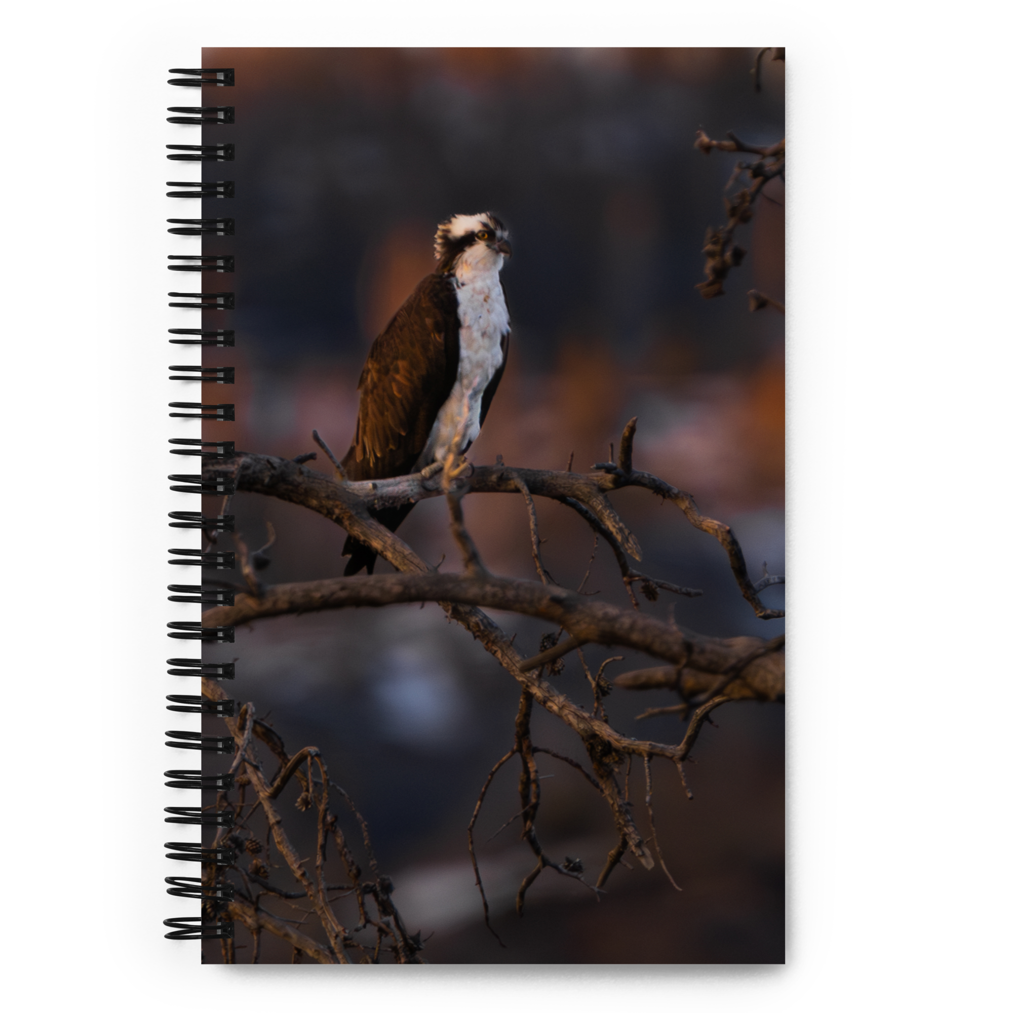 Osprey Spiral notebook