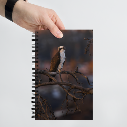 Osprey Spiral notebook