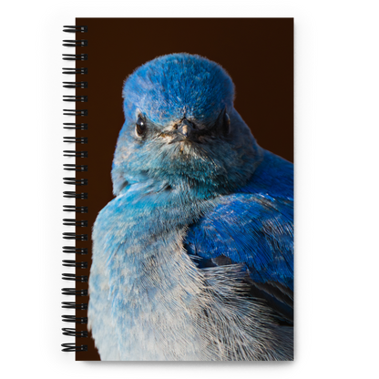 Mountain Bluebird Spiral notebook