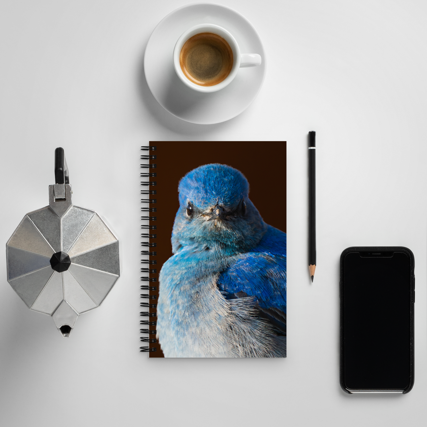 Mountain Bluebird Spiral notebook