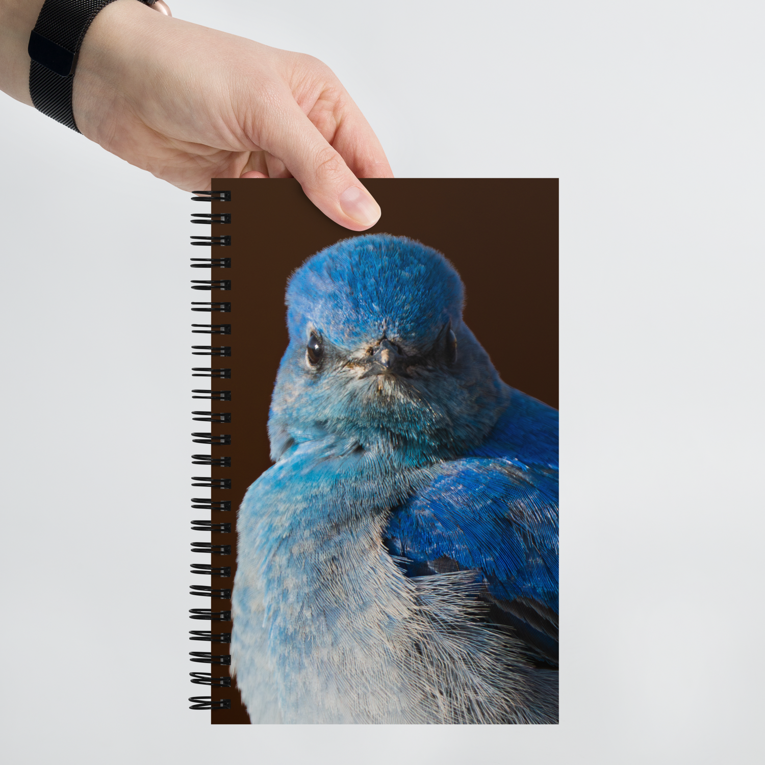 Mountain Bluebird Spiral notebook