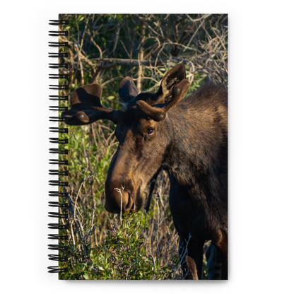 Moose Spiral notebook