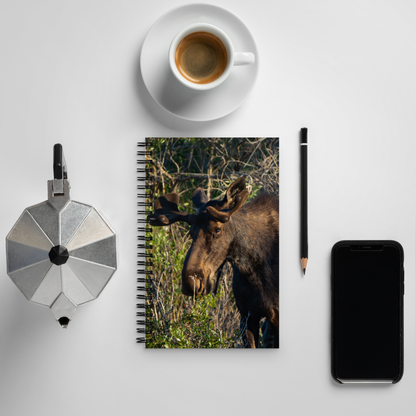 Moose Spiral notebook